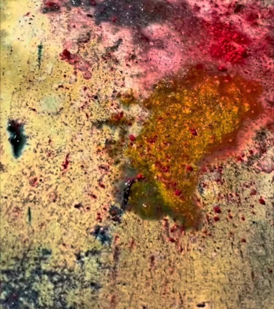 Coral and ochre pigment bloom